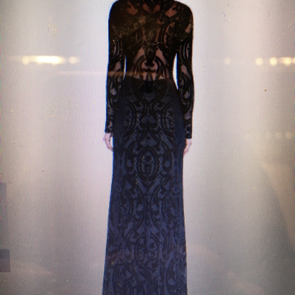 Bcbg formal gown (Selma velvet gown )